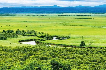 【徳島空港発着/1名様一室利用】秘境・絶景・最果て岬を巡る北海道ぐるっと周遊7日間 ~7日間で北海道をたっぷり大満喫!~2